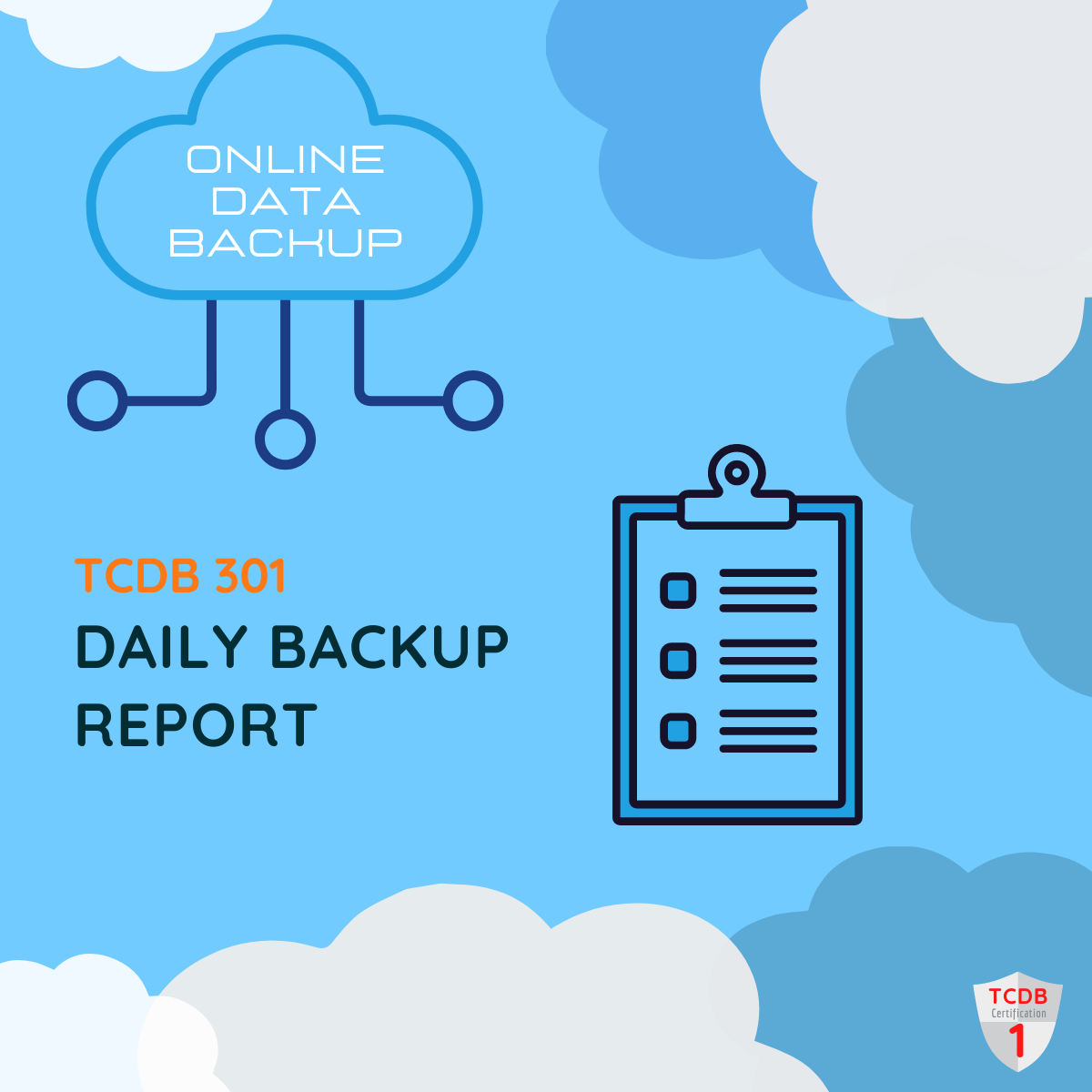TCDB 301 – Daily Backup Report